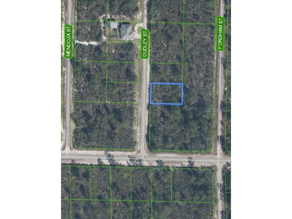 1105 Ramiro Street Lake Placid FL 33852 O6282564 image1