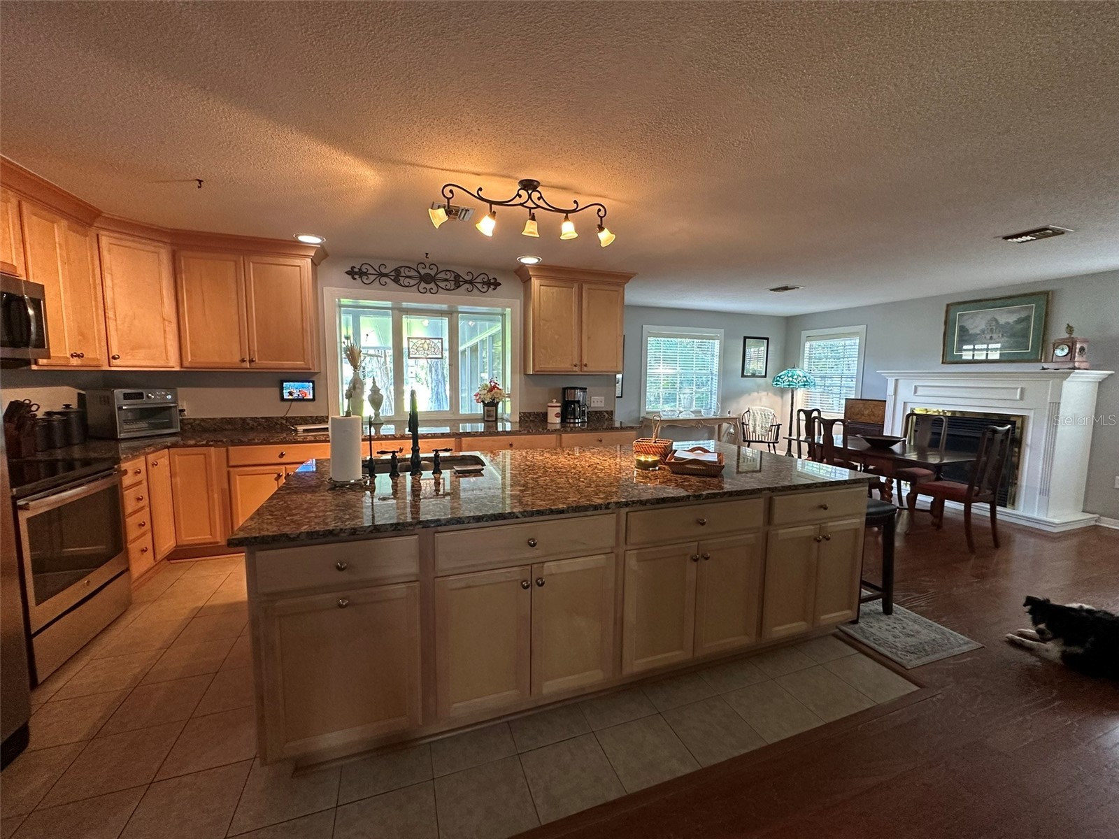 1105 S 9th Street Leesburg FL 34748 - HARRIS CHAIN OF LAKES TB8522472 image7