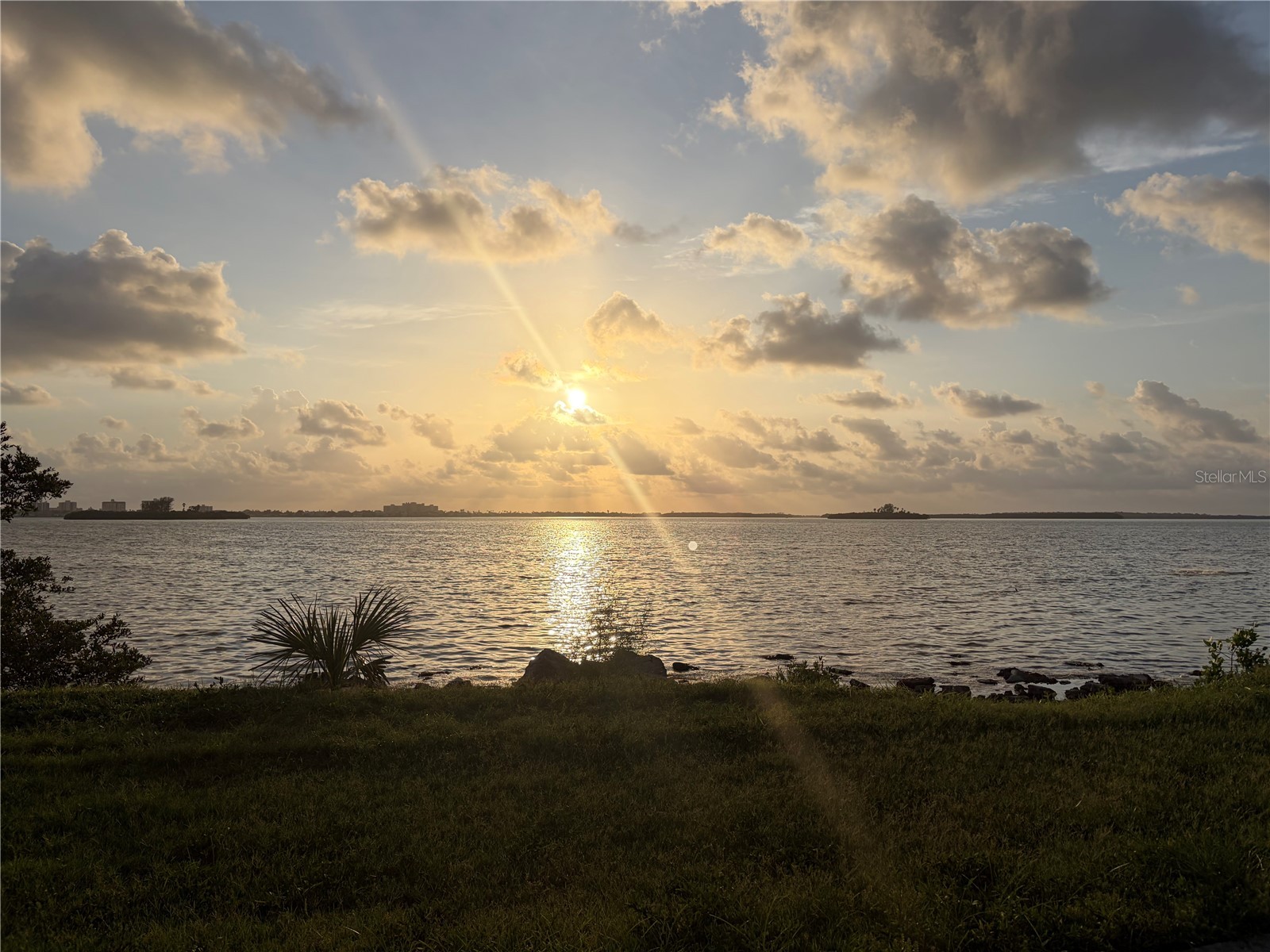 1105 Sunnydale Drive Clearwater FL 33755 TB8522793 image27