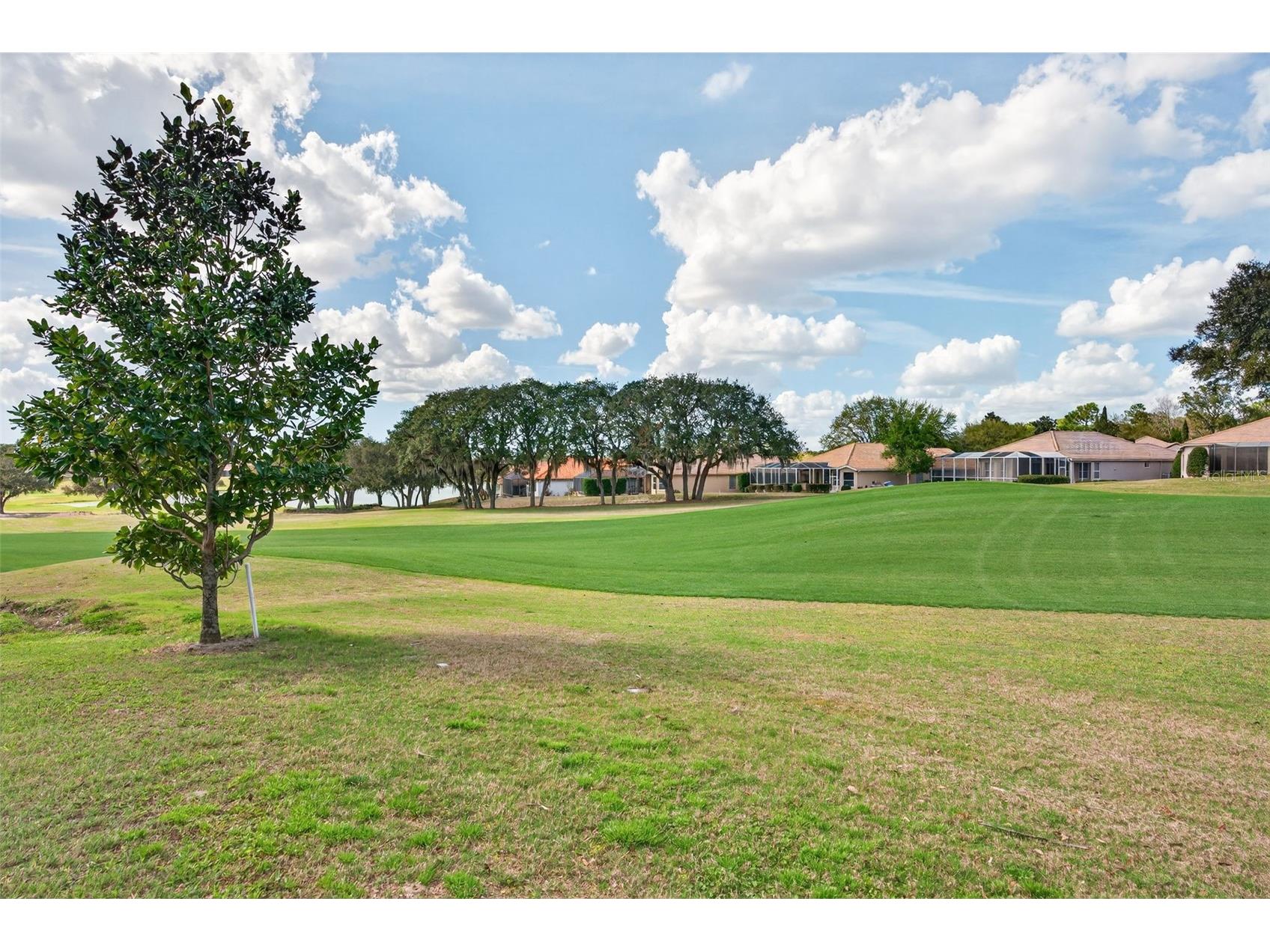 1105 W Pointe Vista Path #43 Hernando FL 34442 OM726141 image31