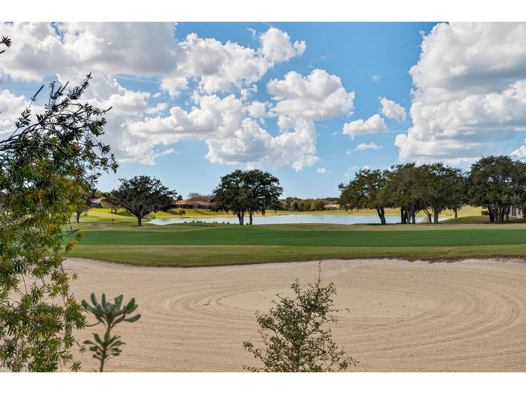 1105 W Pointe Vista Path #43 Hernando FL 34442 OM726141 image43