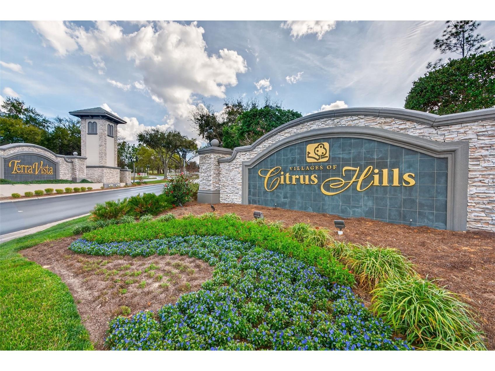 1105 W Pointe Vista Path #43 Hernando FL 34442 OM726141 image46