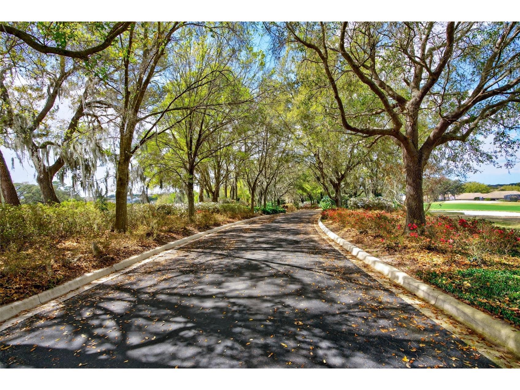 1105 W Pointe Vista Path #43 Hernando FL 34442 OM726141 image47