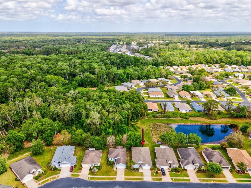 11050 Kiskadee Circle New Port Richey FL 34654 W7874202 image29