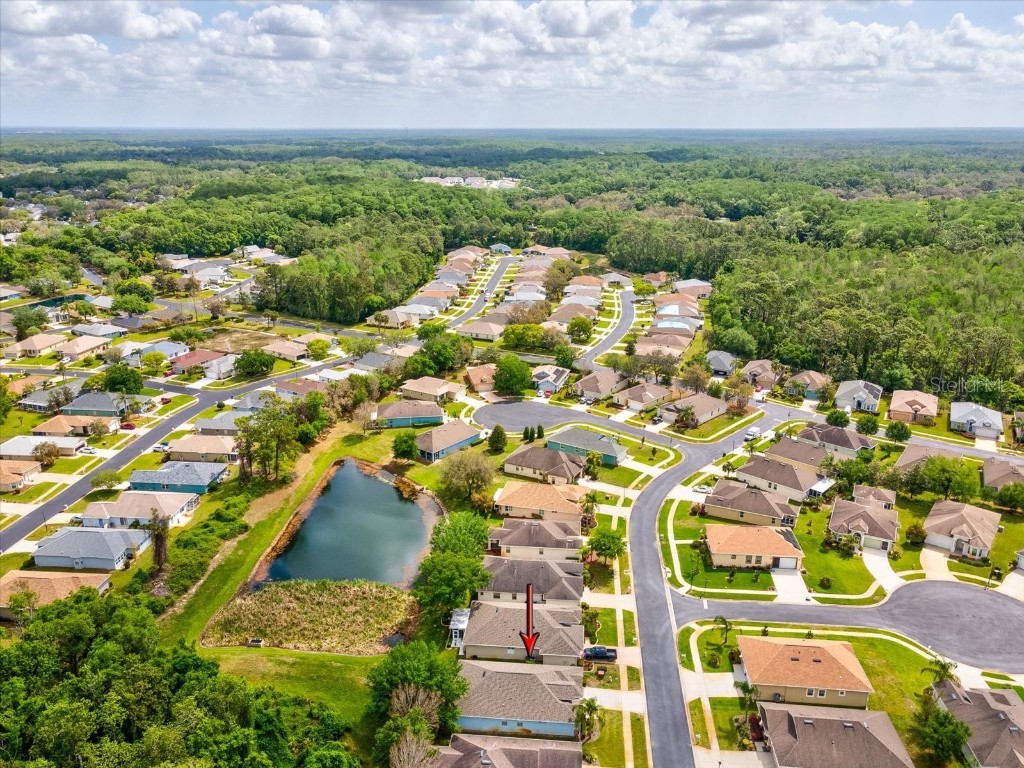 11050 Kiskadee Circle New Port Richey FL 34654 W7874202 image30