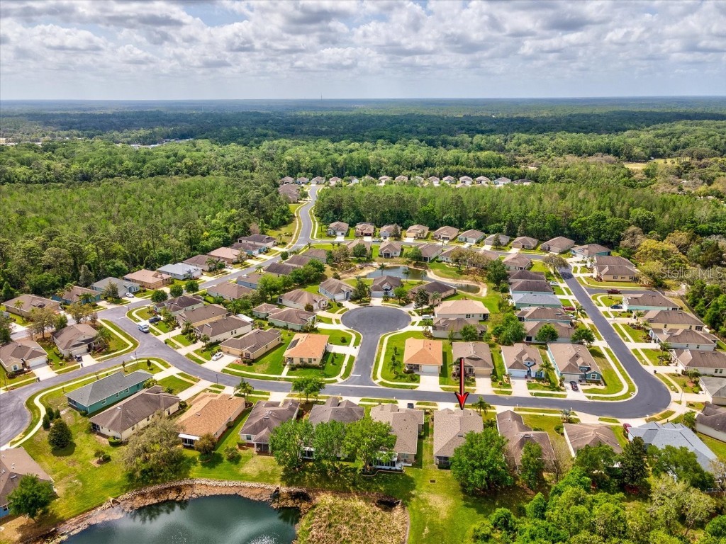 11050 Kiskadee Circle New Port Richey FL 34654 W7874202 image31