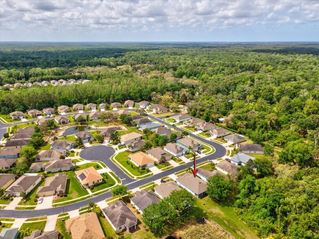 11050 Kiskadee Circle New Port Richey FL 34654 W7874202 image32