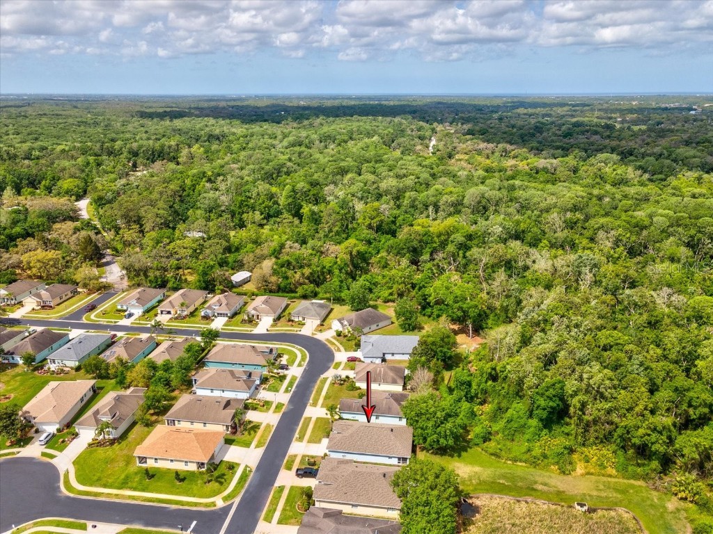 11050 Kiskadee Circle New Port Richey FL 34654 W7874202 image33