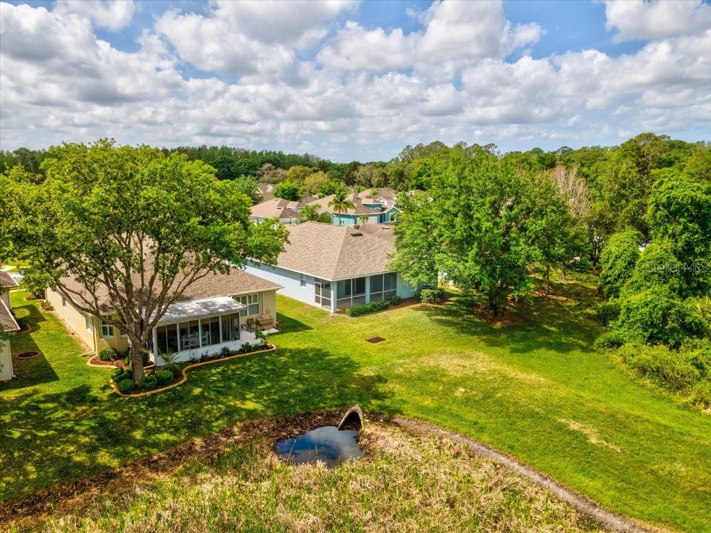11050 Kiskadee Circle New Port Richey FL 34654 W7874202 image34