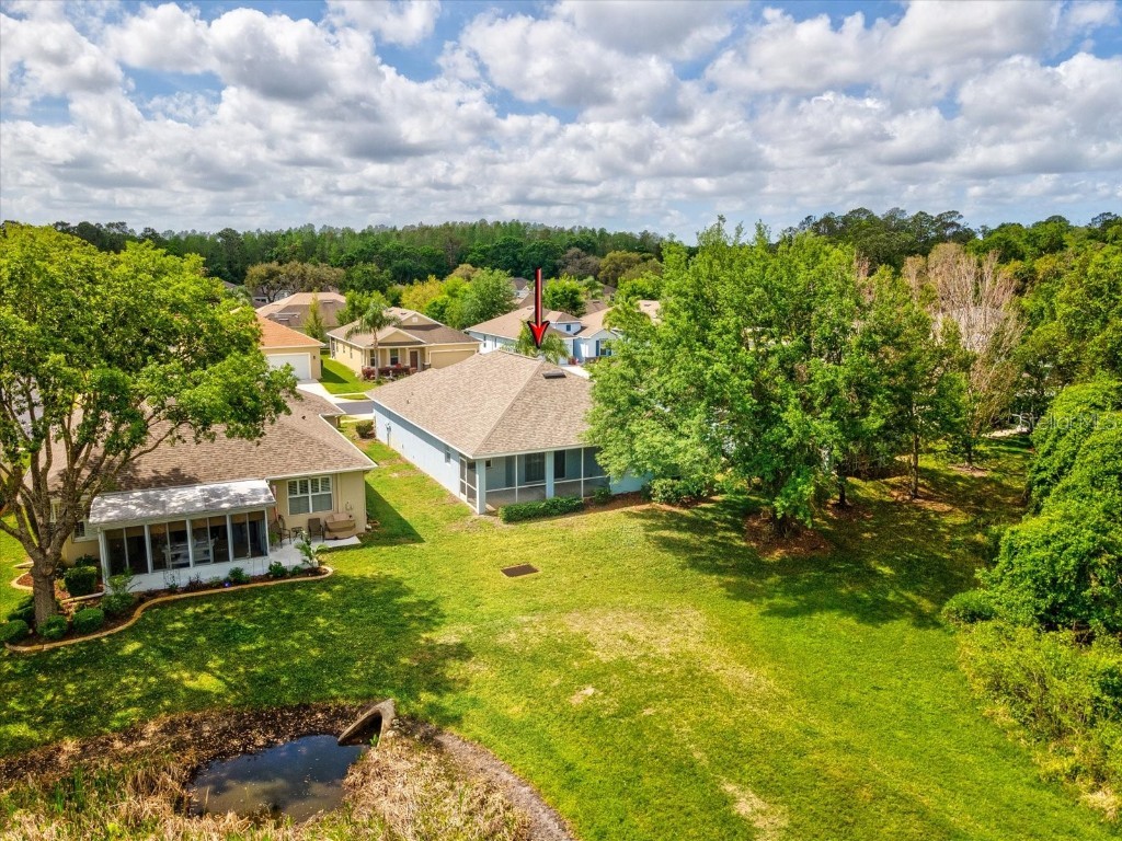 11050 Kiskadee Circle New Port Richey FL 34654 W7874202 image35