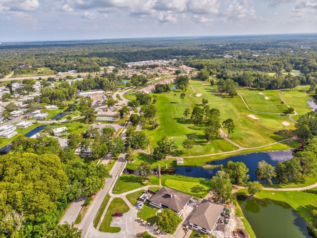 11050 Kiskadee Circle New Port Richey FL 34654 W7874202 image61