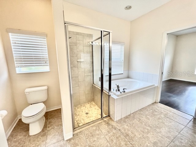 11051 Belle Haven Drive New Port Richey FL 34654 - WEST MOON LAKE W7883835 image31