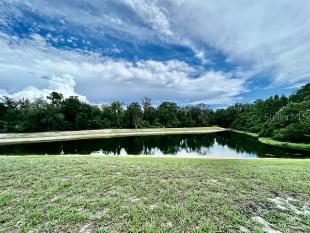 11051 Belle Haven Drive New Port Richey FL 34654 - WEST MOON LAKE W7883835 image53