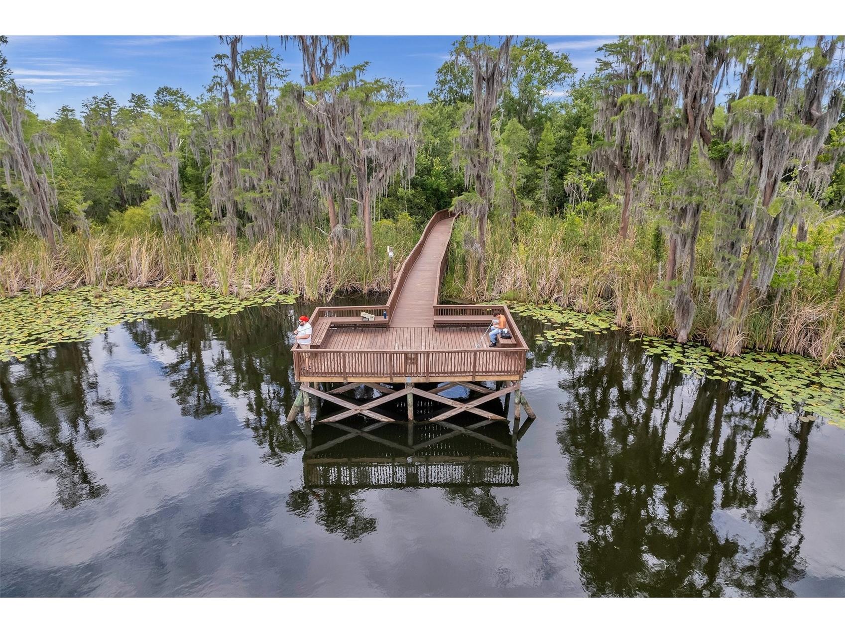 11051 Belle Haven Drive New Port Richey FL 34654 - WEST MOON LAKE W7883835 image67