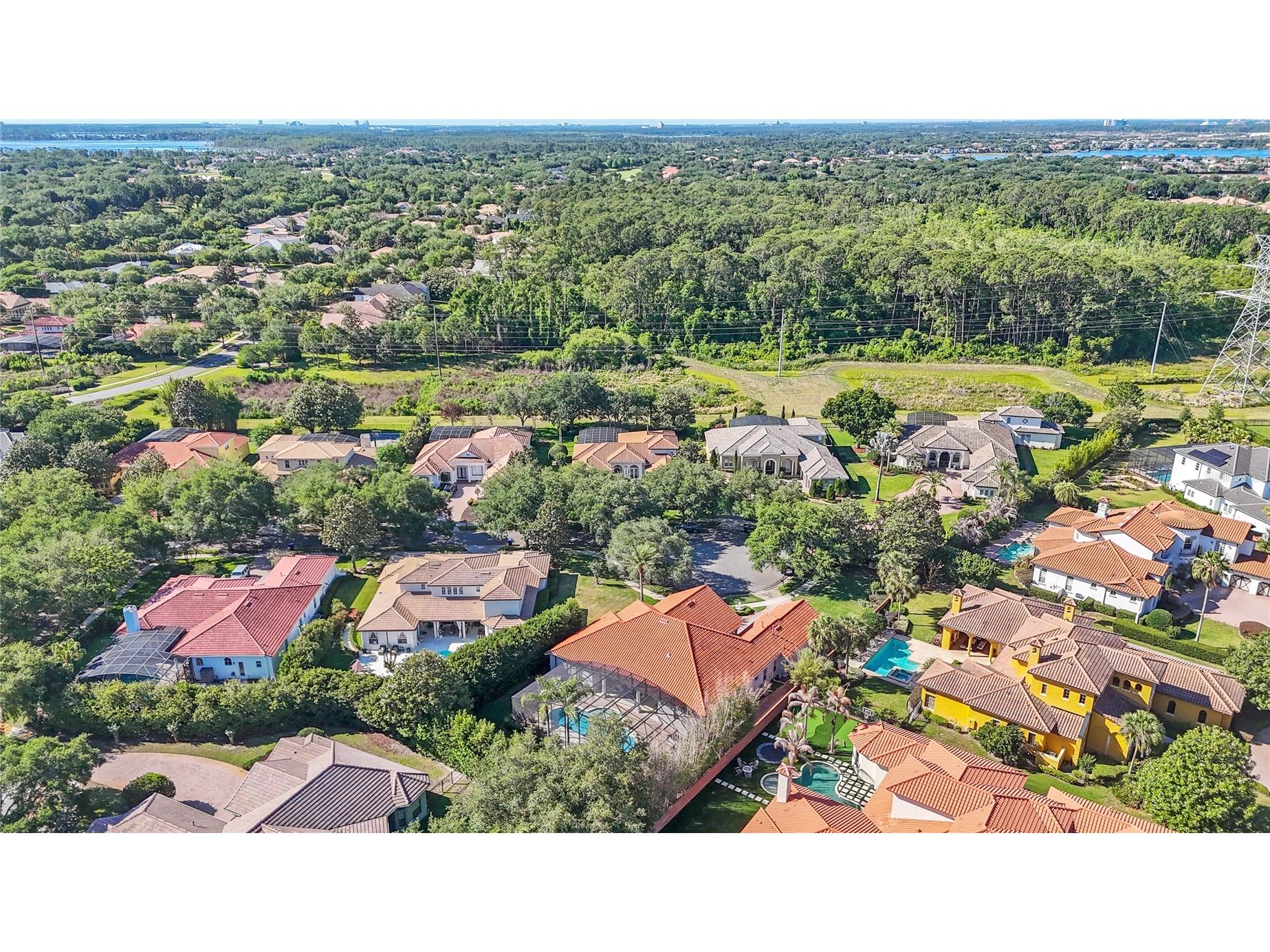 11051 Hawkshead Court Windermere FL 34786 O6400963 image65