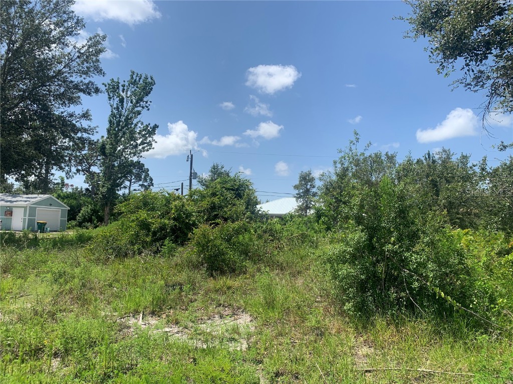 11053 Vanessa Avenue Englewood FL 34224 D6131431 image1