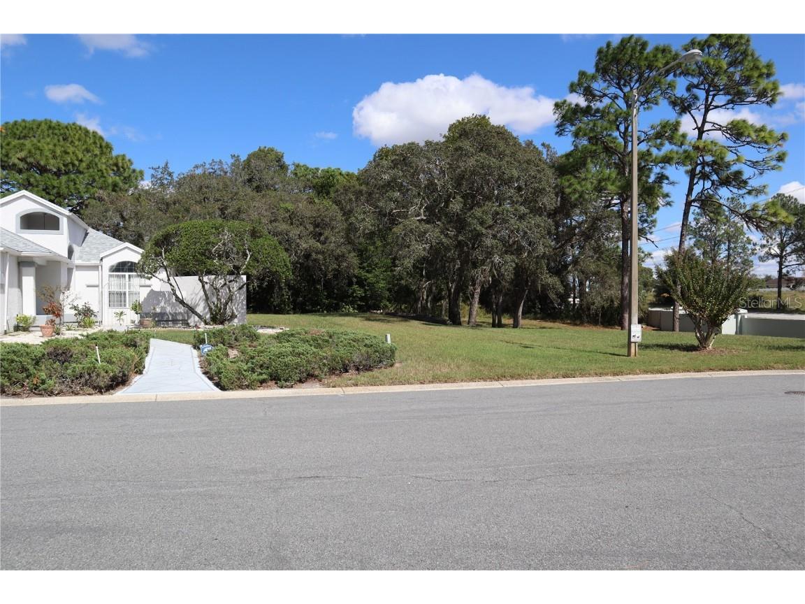 11053 Via Santiago Court Spring Hill FL 34608 W7858935 image2