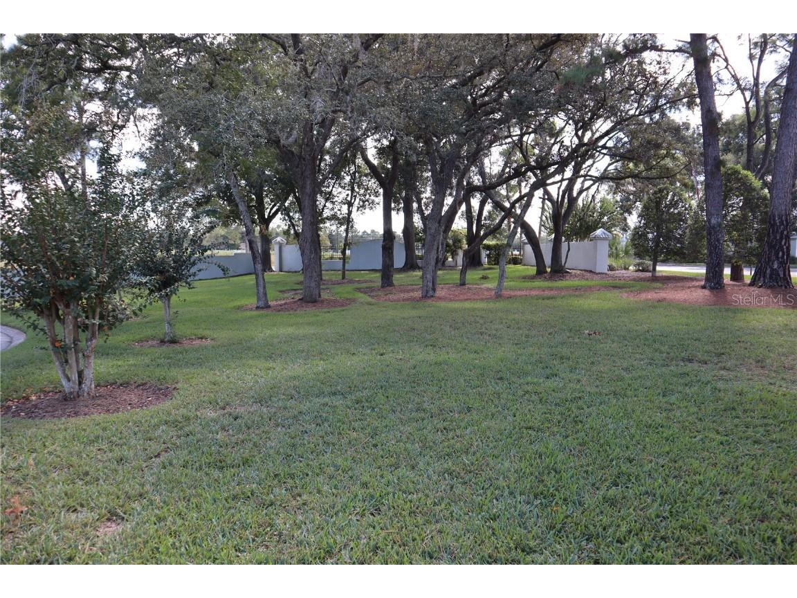 11053 Via Santiago Court Spring Hill FL 34608 W7858935 image5