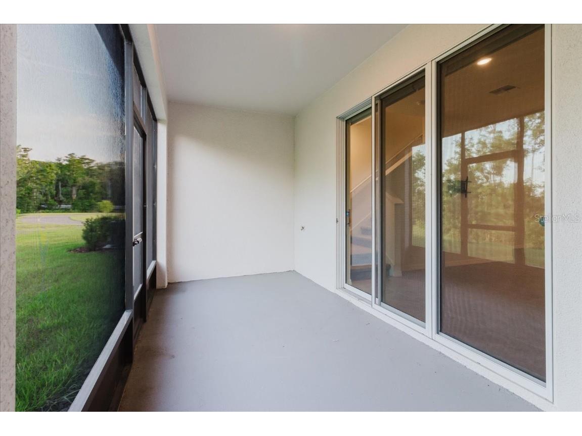 11054 Crescent Deer Drive Land O Lakes FL 34638 TB8392242 image23