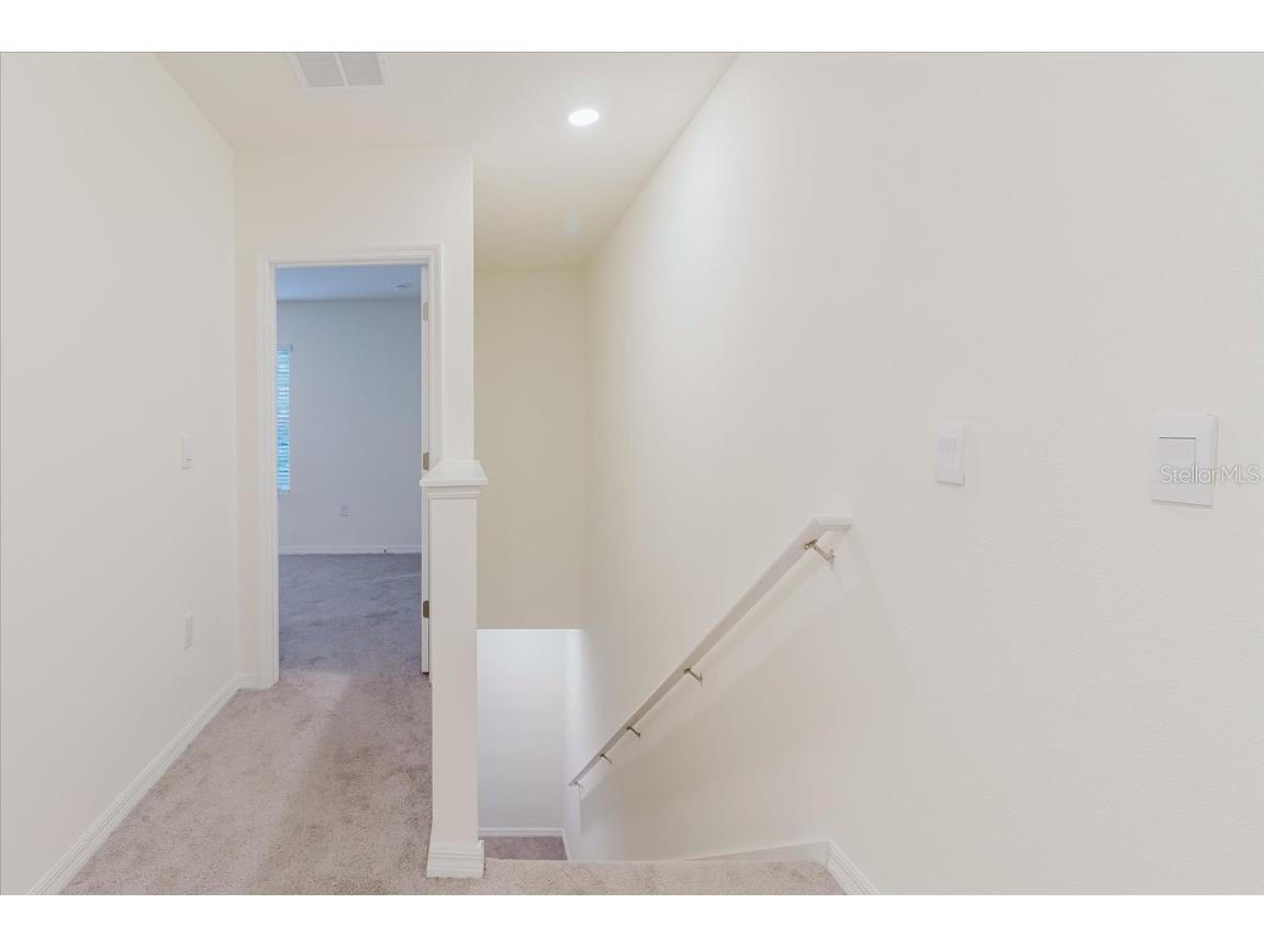 11054 Crescent Deer Drive Land O Lakes FL 34638 TB8392242 image27