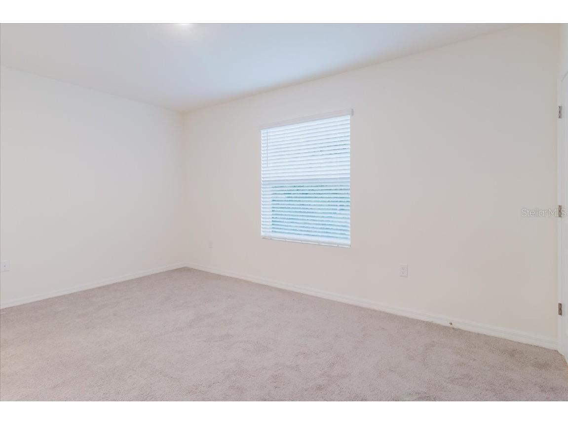 11054 Crescent Deer Drive Land O Lakes FL 34638 TB8392242 image28