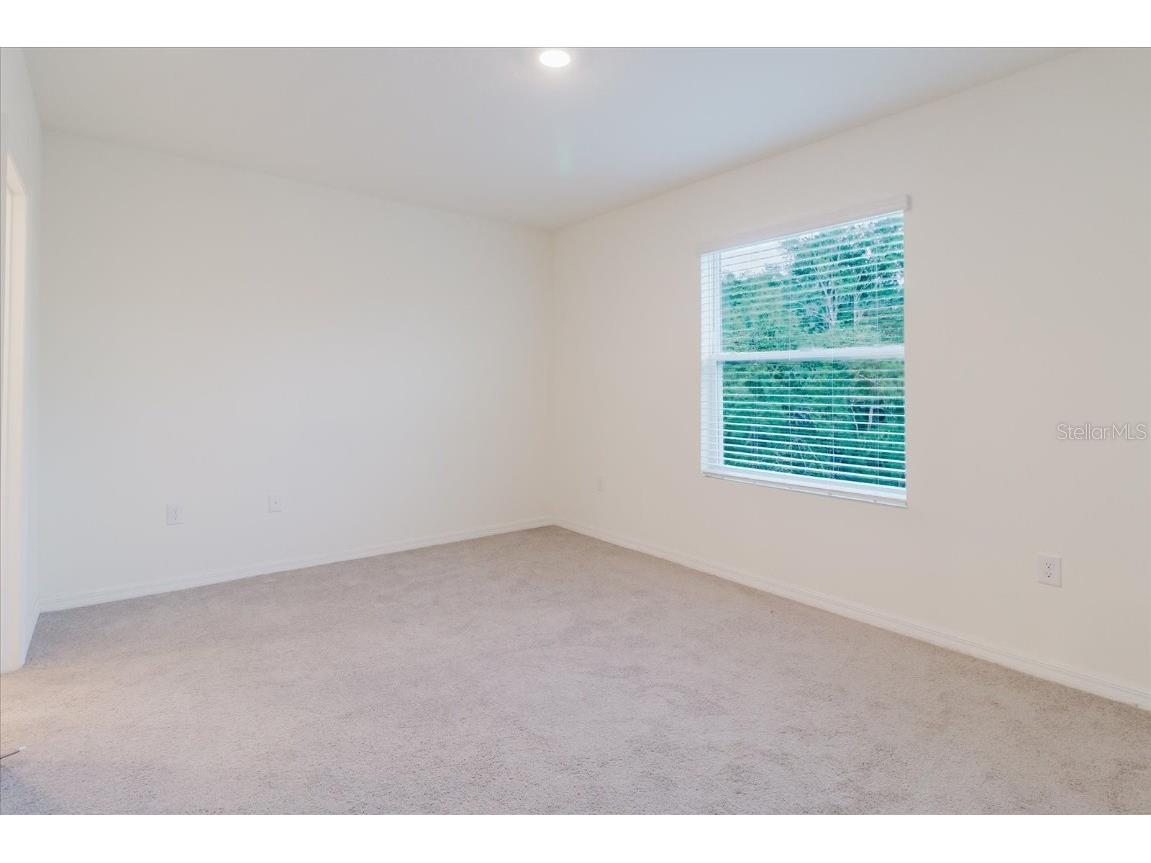 11054 Crescent Deer Drive Land O Lakes FL 34638 TB8392242 image29