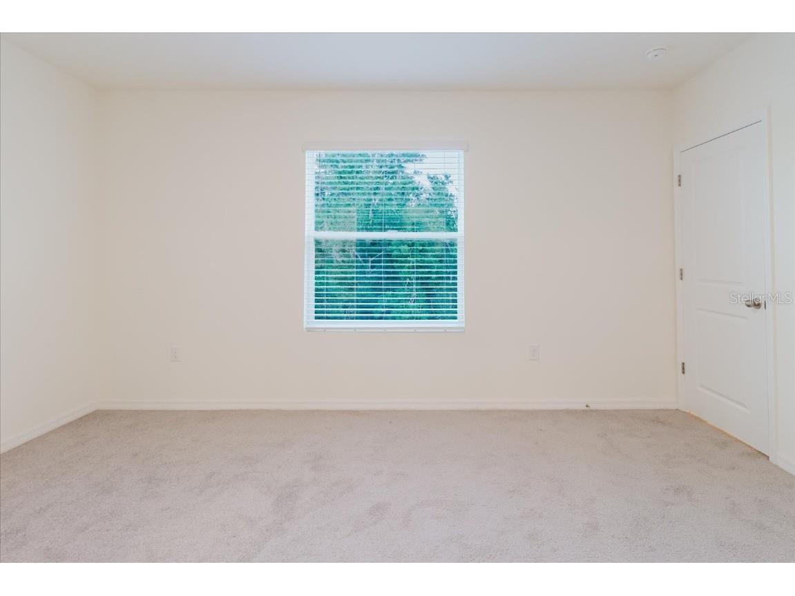 11054 Crescent Deer Drive Land O Lakes FL 34638 TB8392242 image32