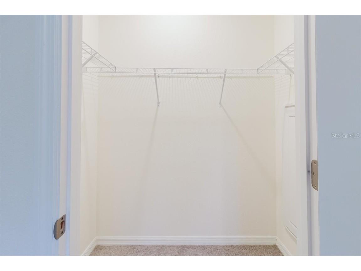 11054 Crescent Deer Drive Land O Lakes FL 34638 TB8392242 image35