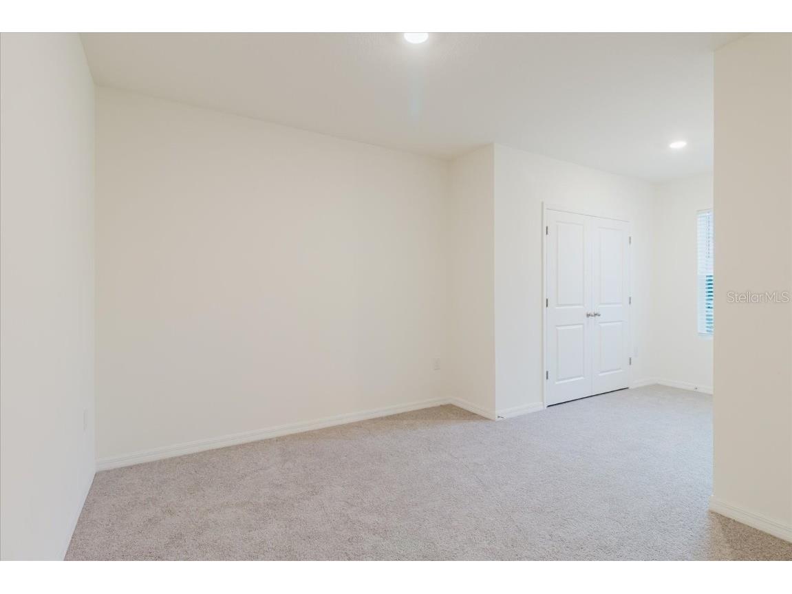 11054 Crescent Deer Drive Land O Lakes FL 34638 TB8392242 image41