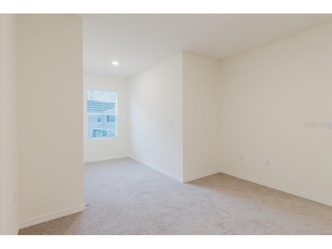 11054 Crescent Deer Drive Land O Lakes FL 34638 TB8392242 image42