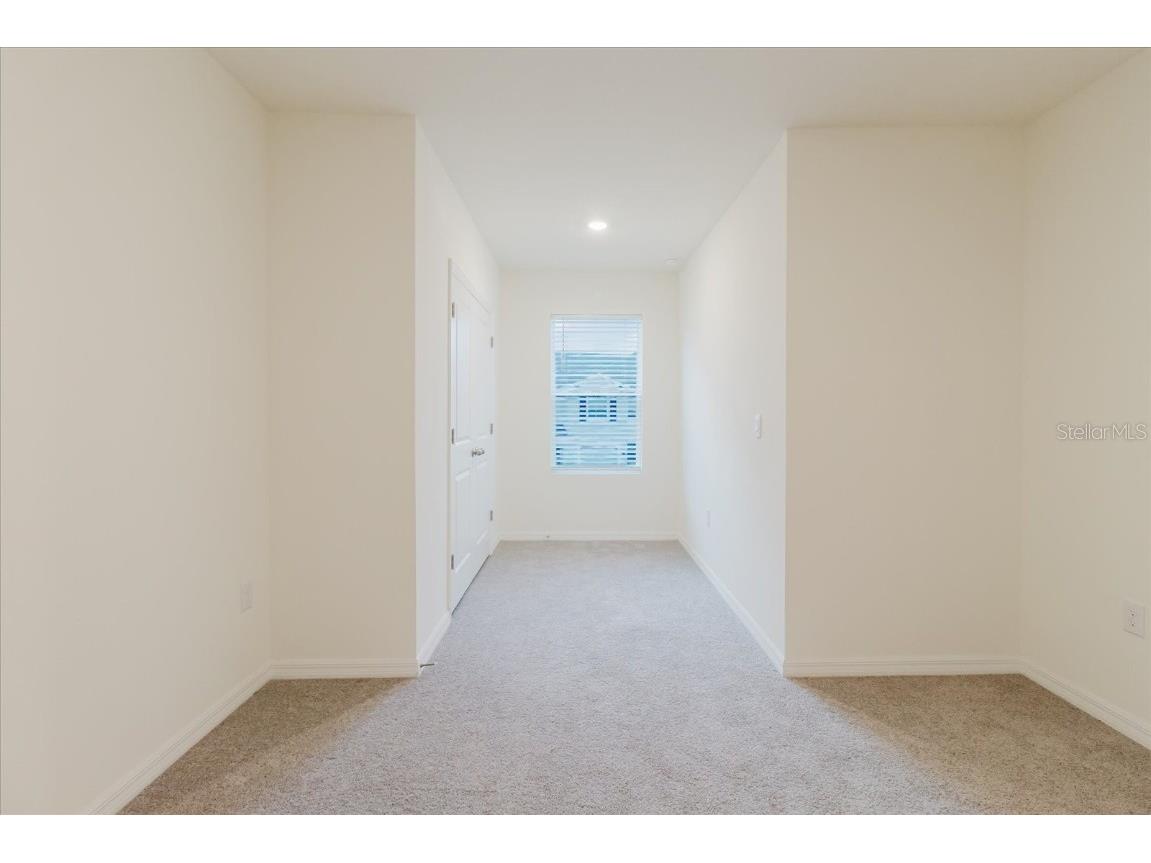 11054 Crescent Deer Drive Land O Lakes FL 34638 TB8392242 image43