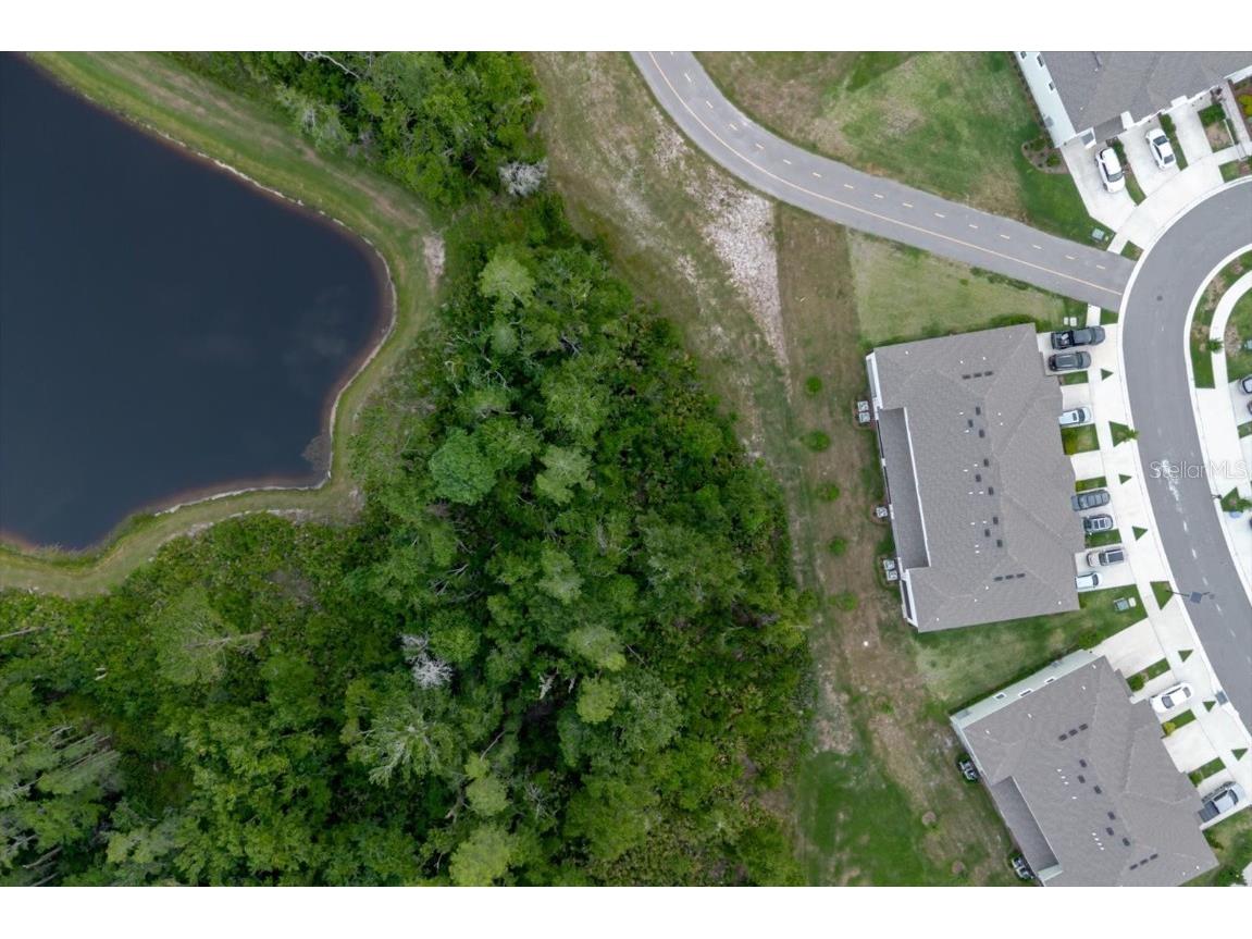 11054 Crescent Deer Drive Land O Lakes FL 34638 TB8392242 image5