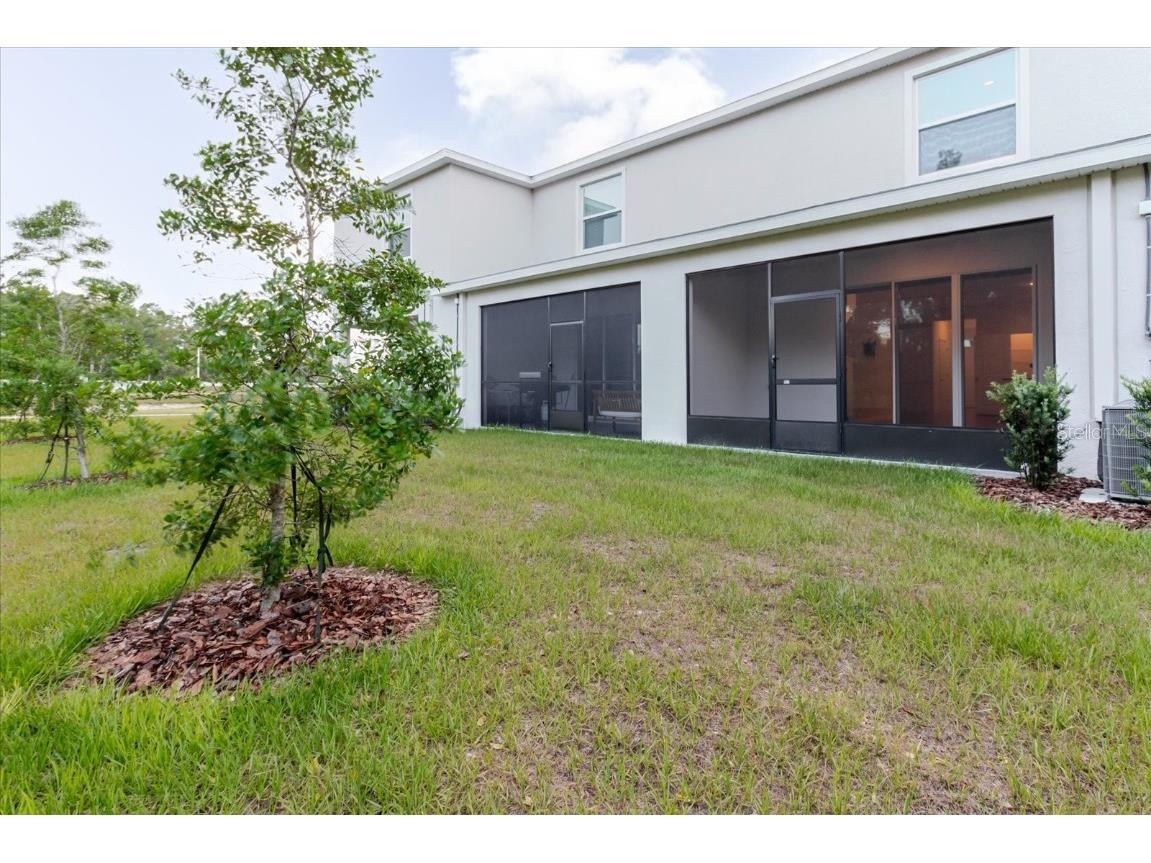 11054 Crescent Deer Drive Land O Lakes FL 34638 TB8392242 image51