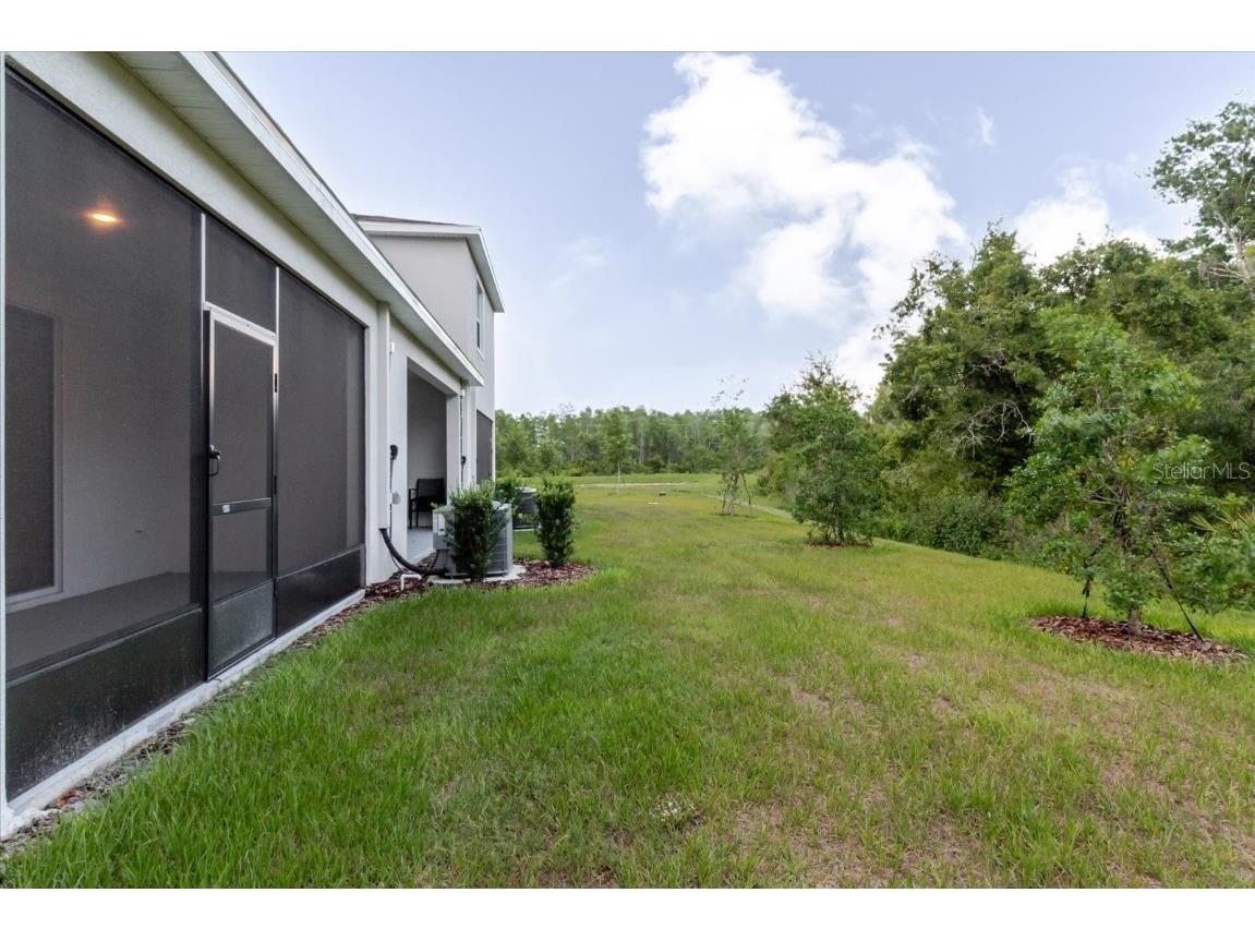 11054 Crescent Deer Drive Land O Lakes FL 34638 TB8392242 image52