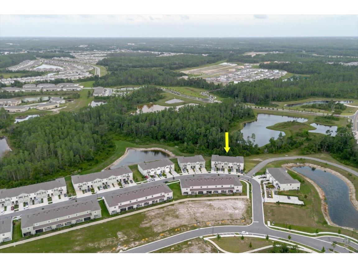 11054 Crescent Deer Drive Land O Lakes FL 34638 TB8392242 image56