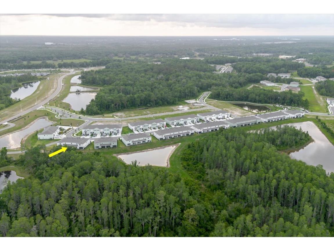 11054 Crescent Deer Drive Land O Lakes FL 34638 TB8392242 image58