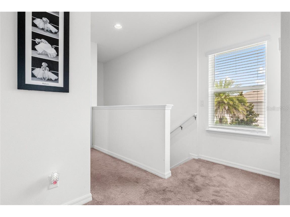 11054 Hanlon Terrace Alley Winter Garden FL 34787 O6316250 image19