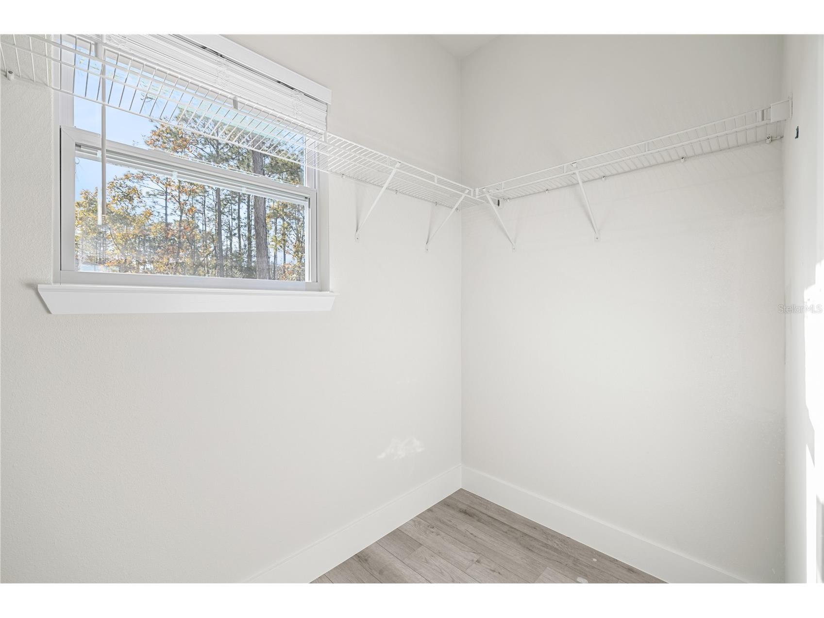 11054 N Academy Drive Dunnellon FL 34434 O6383861 image10