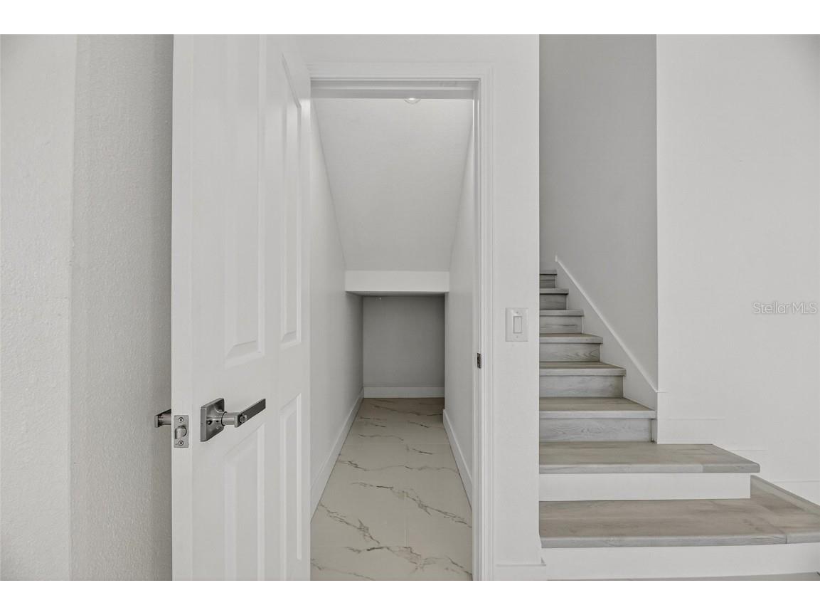 11055 Golden Silence Drive Riverview FL 33579 TB8409619 image33