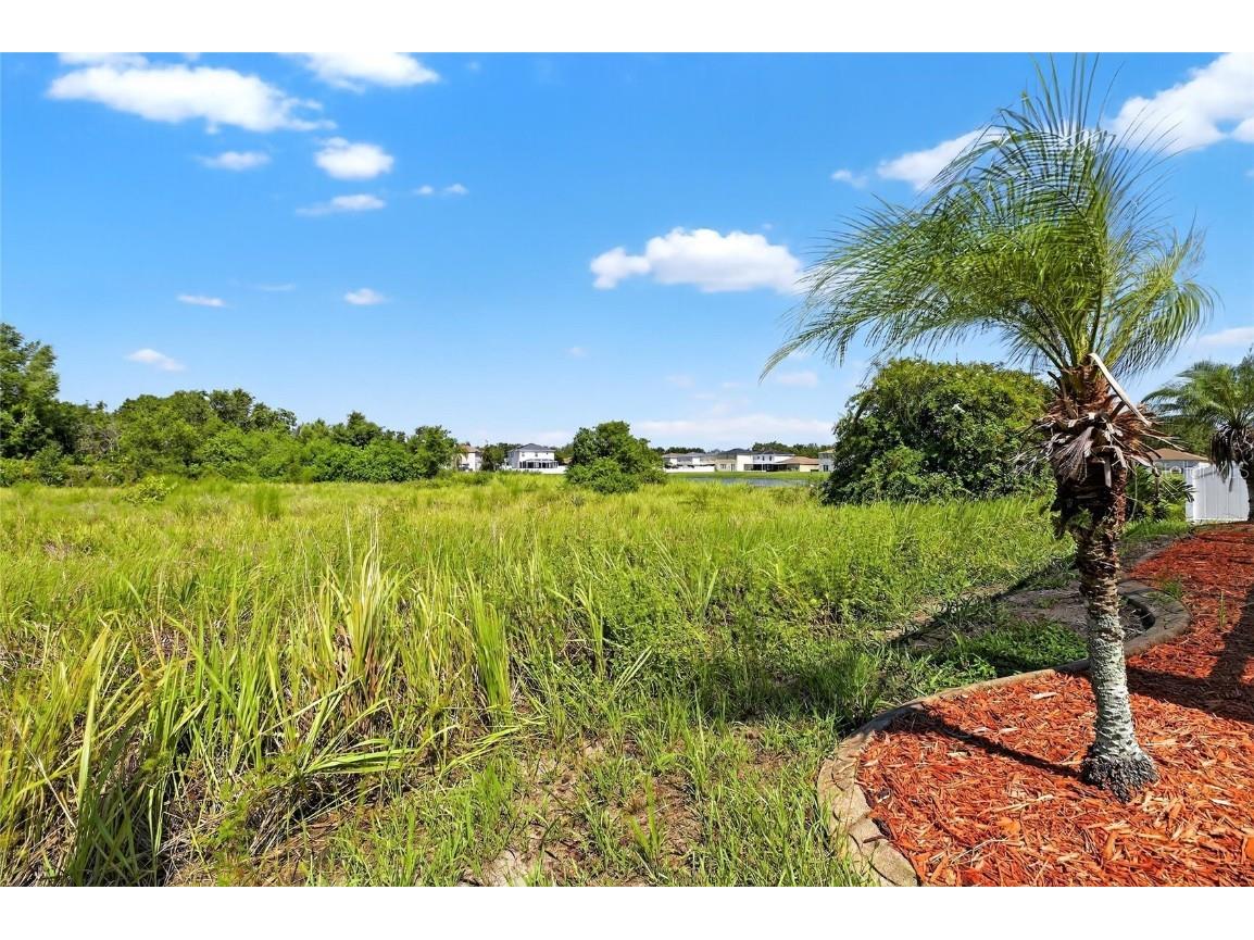 11055 Golden Silence Drive Riverview FL 33579 TB8409619 image76