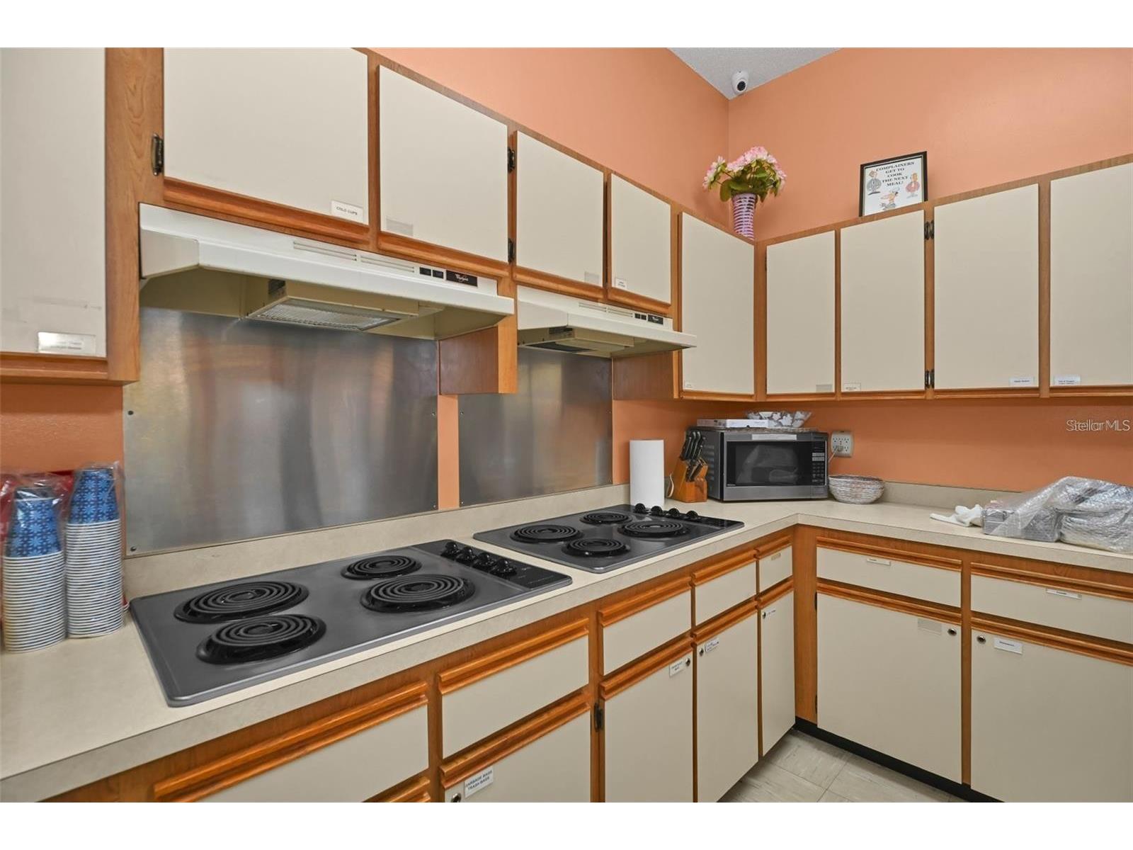 11055 SW 77th Court Ocala FL 34476 OM720882 image49