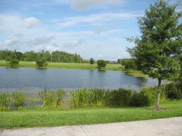 11056 Savannah Landing Circle Orlando FL 32832 O6409161 image45