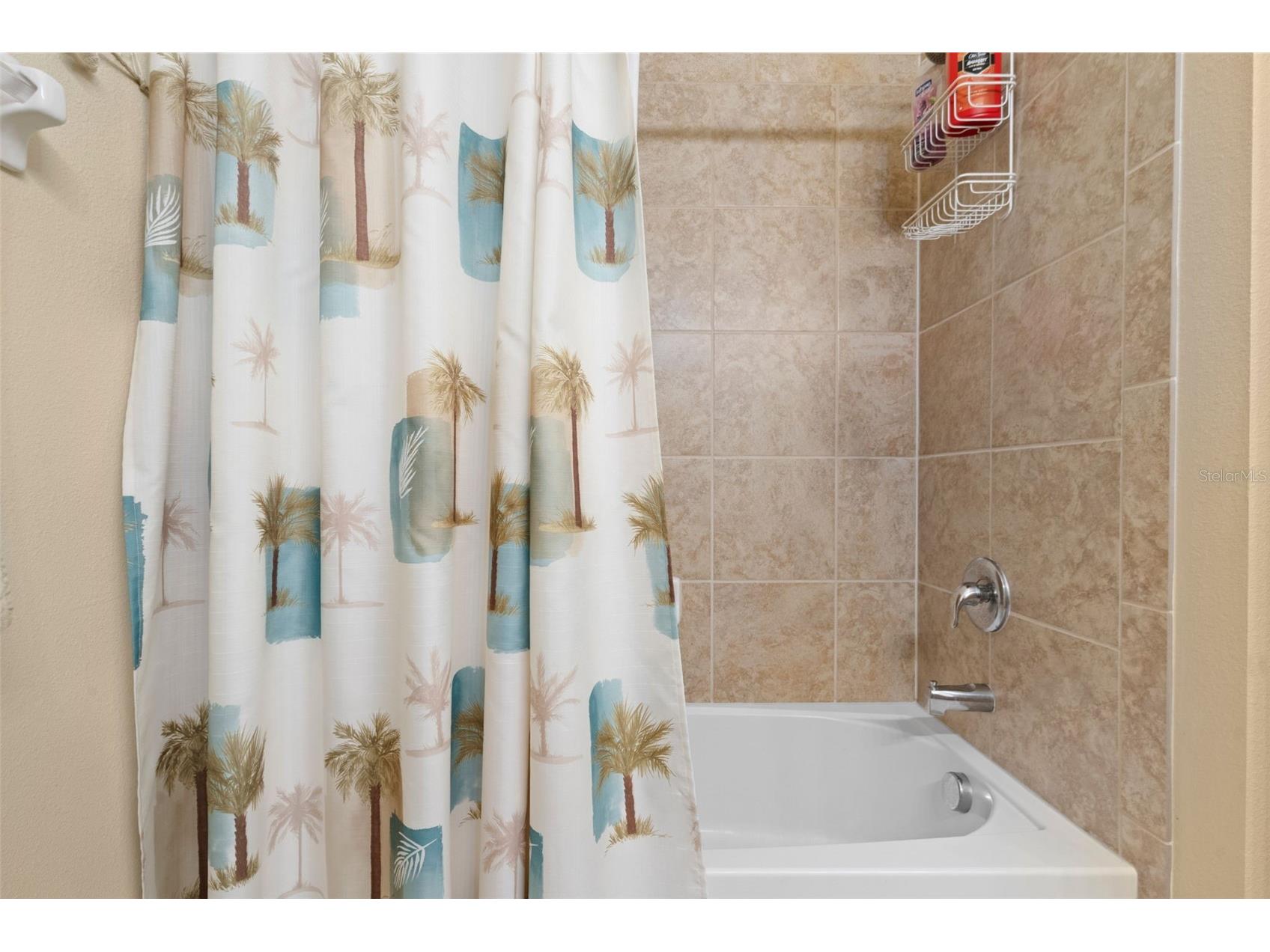 11059 Belle Haven Drive New Port Richey FL 34654 TB8517105 image18
