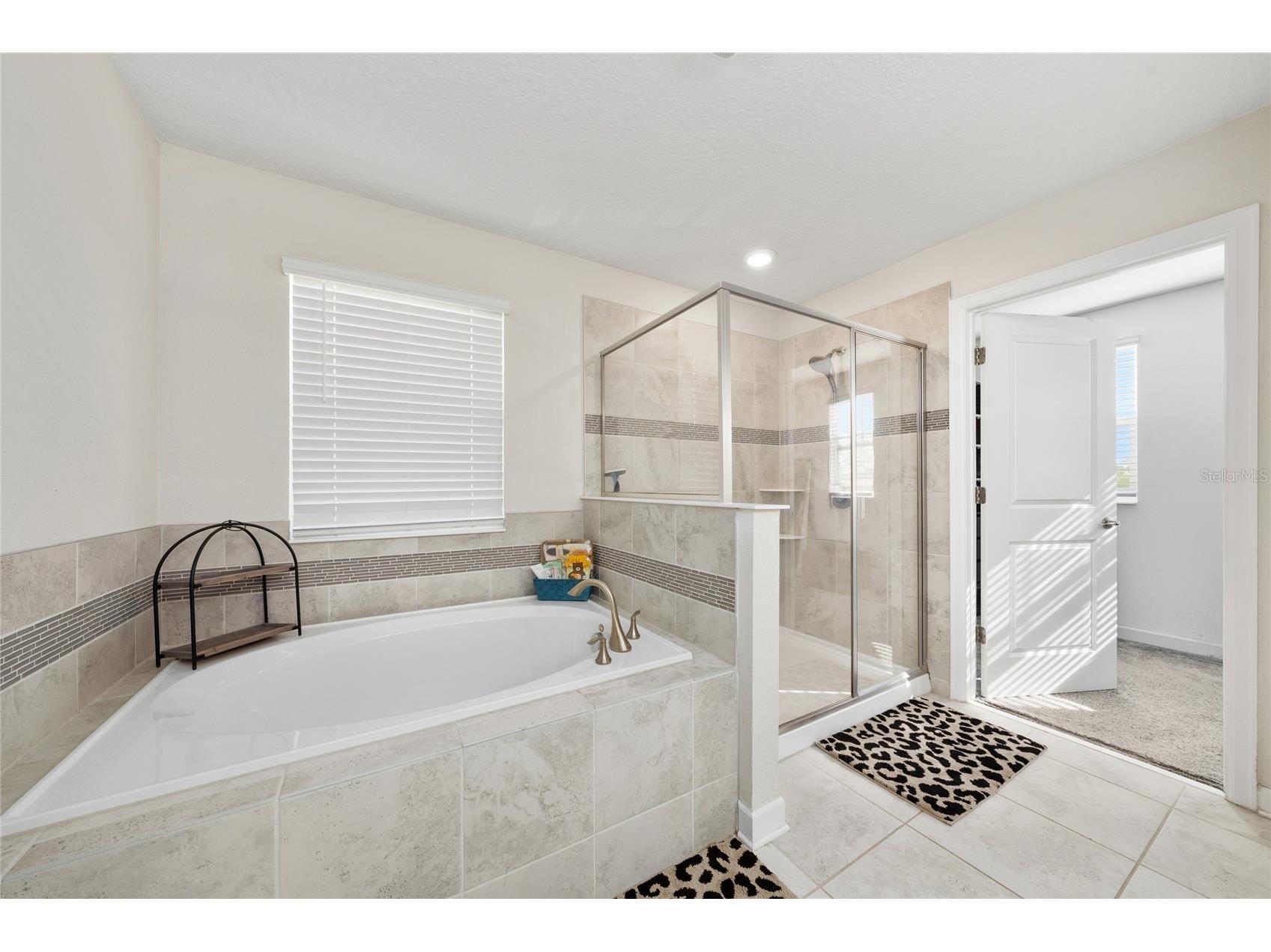 11059 Longleaf Woods Drive Orlando FL 32832 O6423468 image14