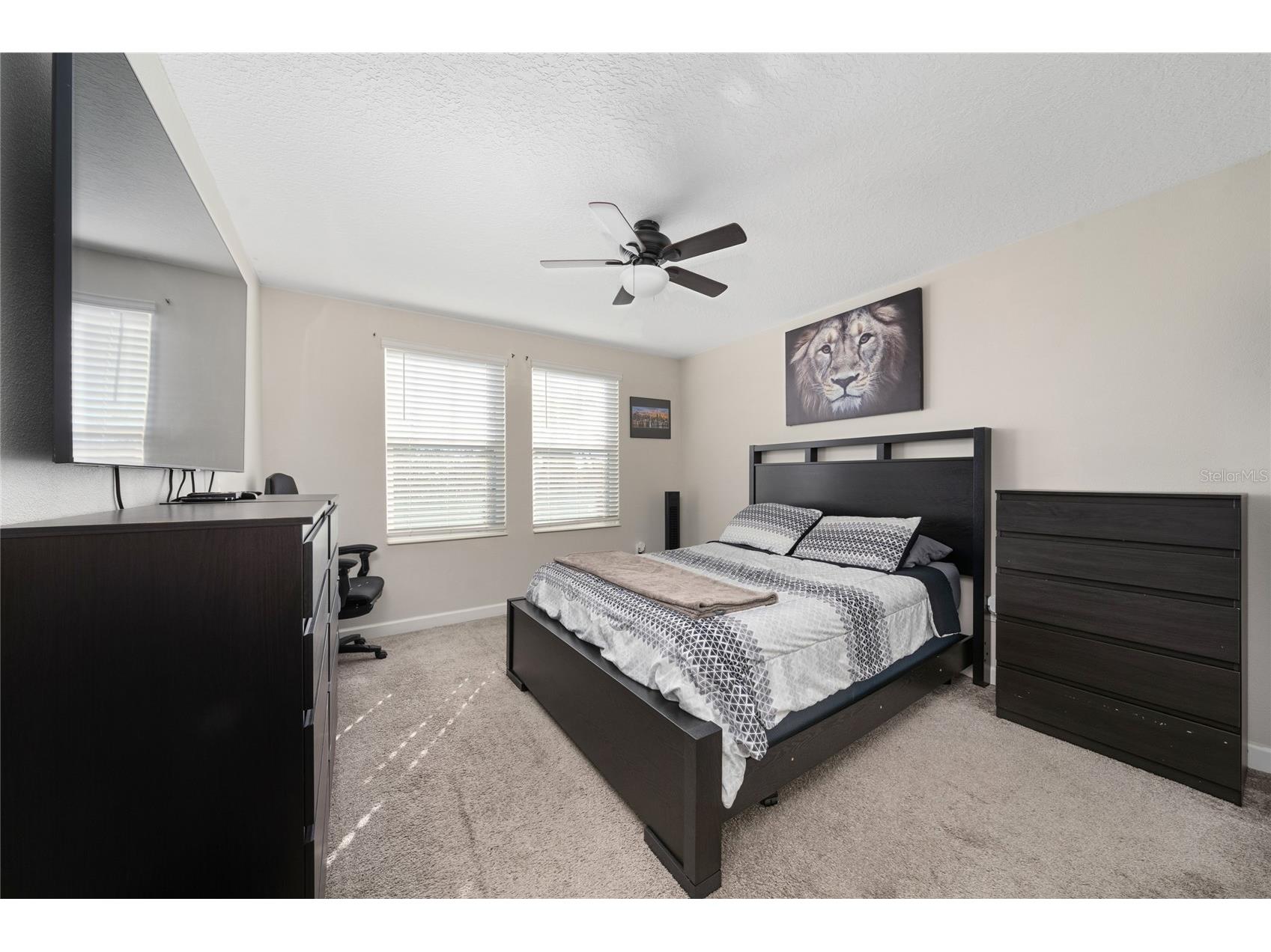 11059 Longleaf Woods Drive Orlando FL 32832 O6423468 image17