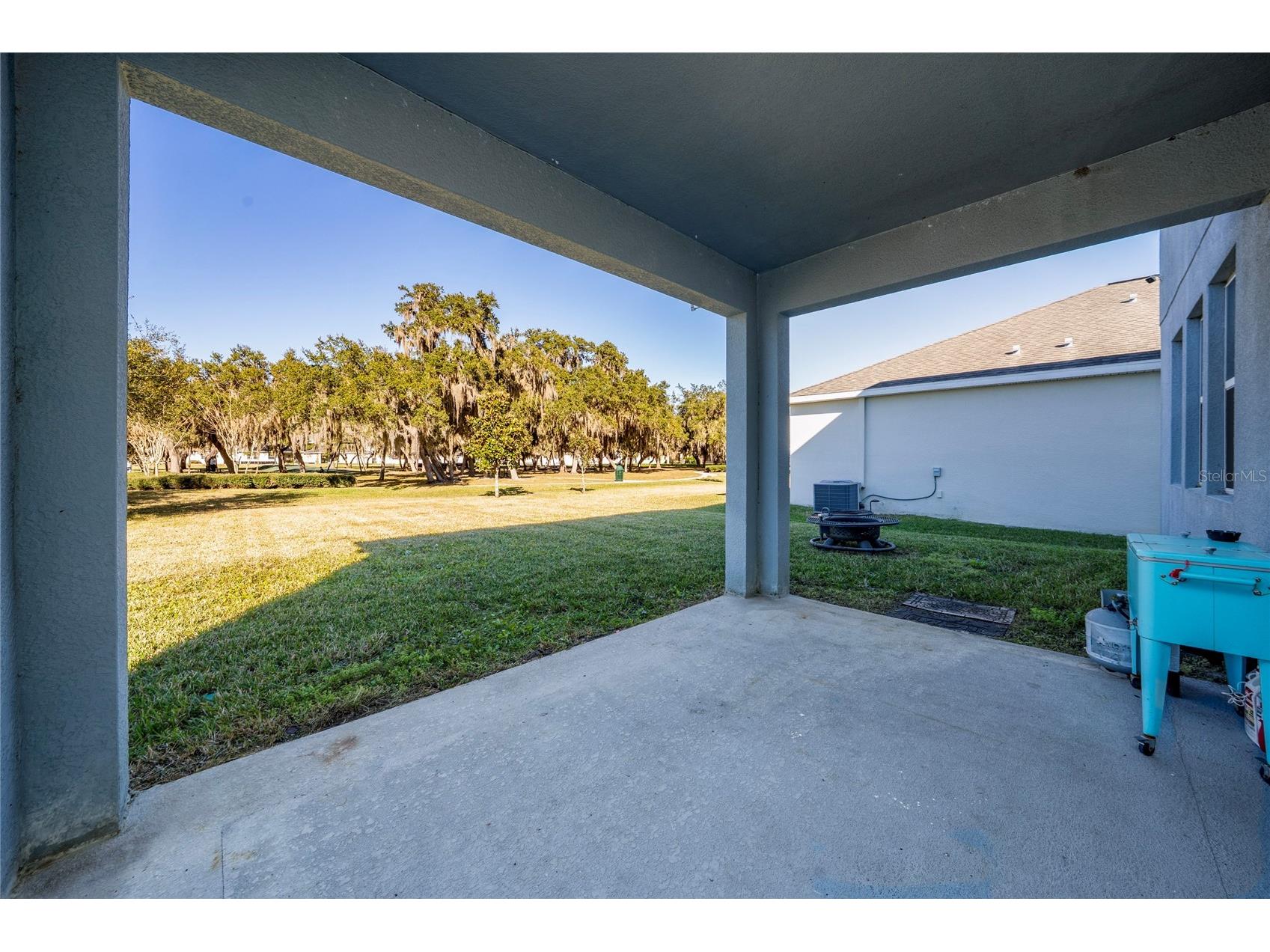 11059 Longleaf Woods Drive Orlando FL 32832 O6423468 image19