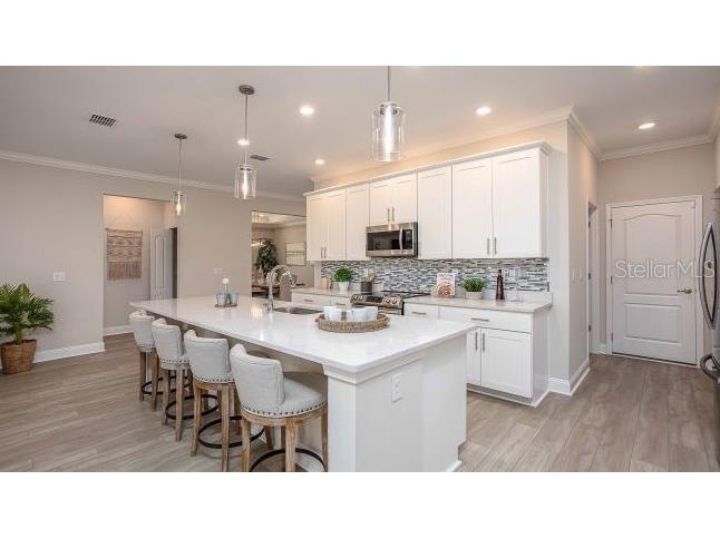 11059 N Morrell Drive Citrus Springs FL 34434 O6392225 image7