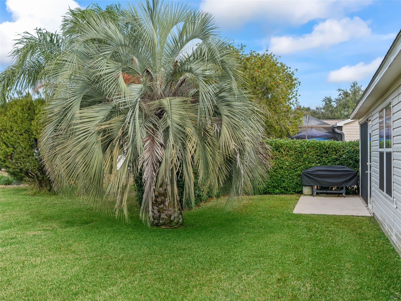 1106 Berkshire Place The Villages FL 32162 G5107097 image36