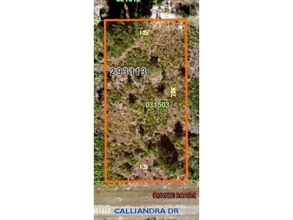 1106 Calliandra Drive Indian Lake Estates FL 33855 O6166536 image1
