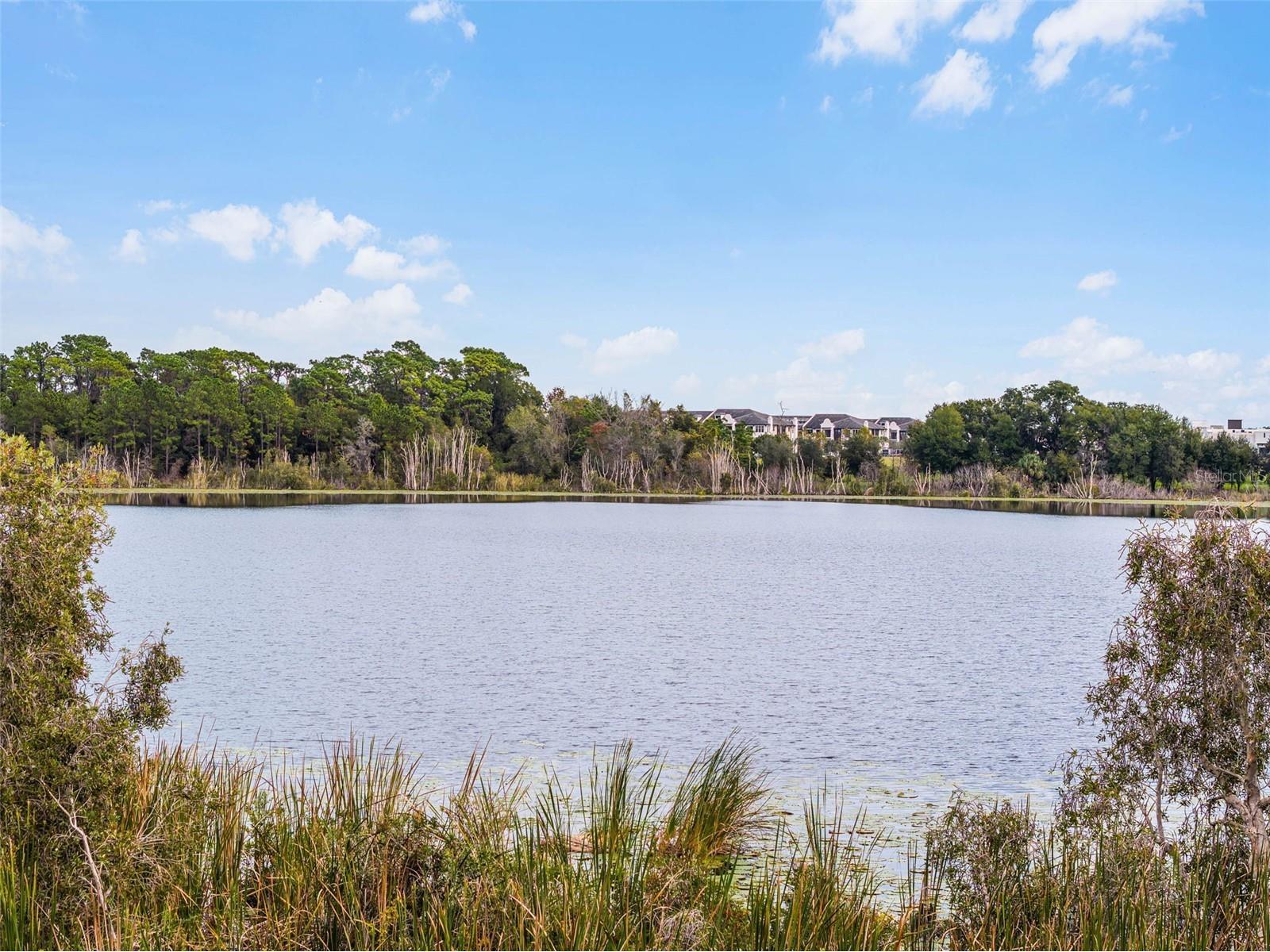 1106 Charming Street Maitland FL 32751 - LAKE CHARITY O6413431 image29